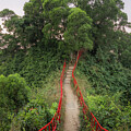 Red Rails