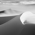 White Wave
